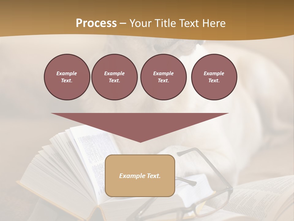 Portrait People Domestic PowerPoint Template