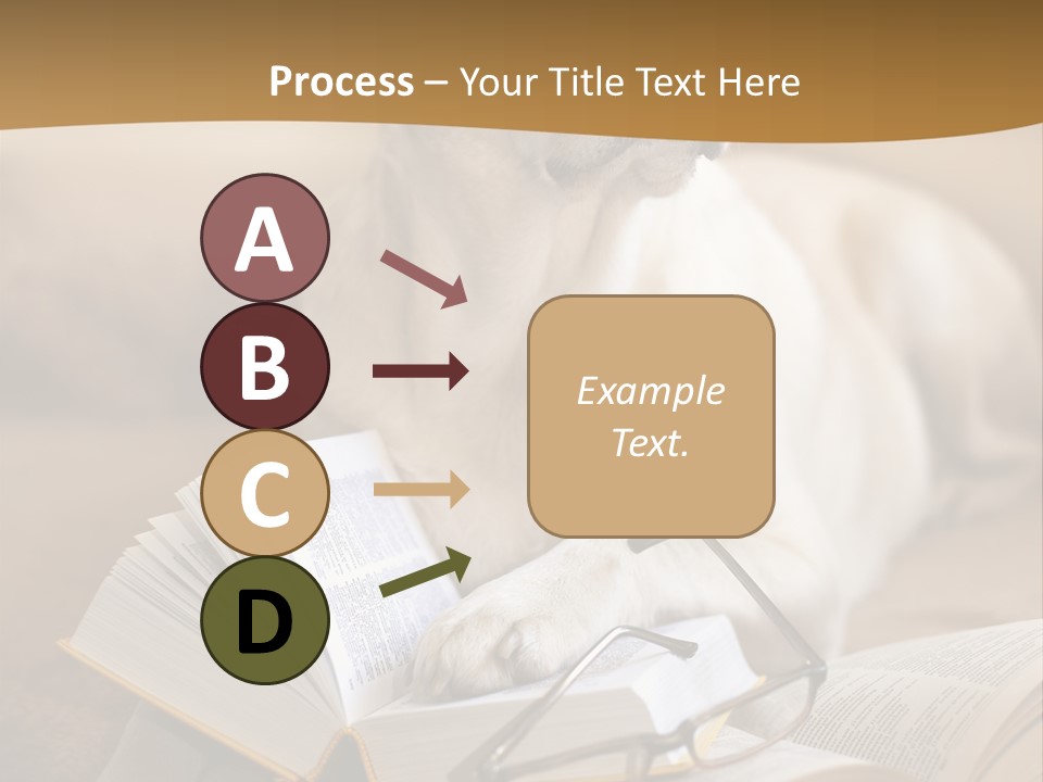 Portrait People Domestic PowerPoint Template