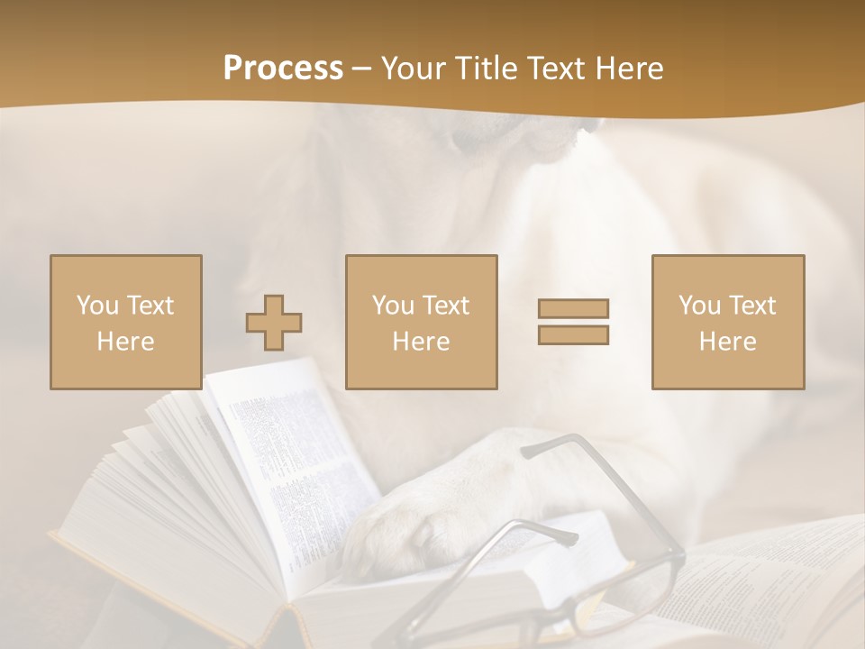 Portrait People Domestic PowerPoint Template