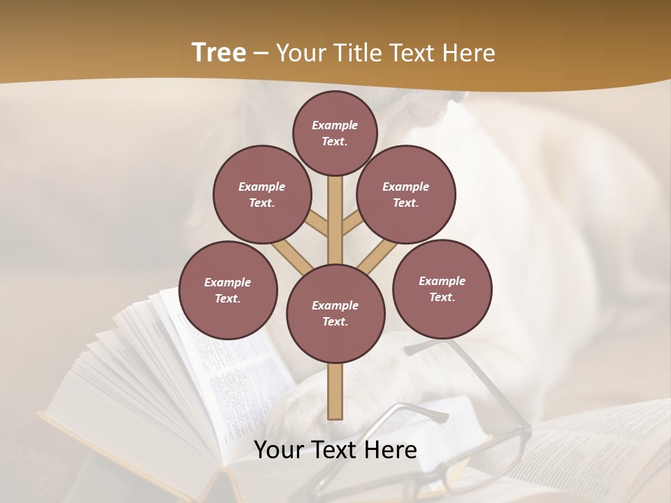 Portrait People Domestic PowerPoint Template