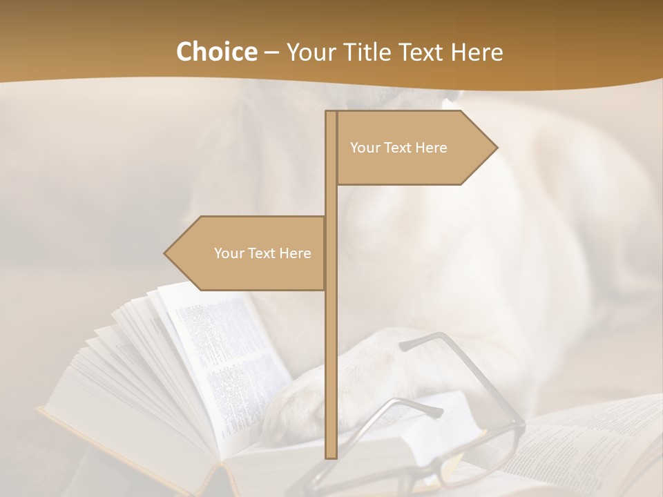 Portrait People Domestic PowerPoint Template