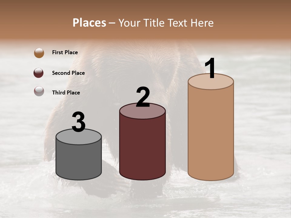 North America Salmon Usa PowerPoint Template