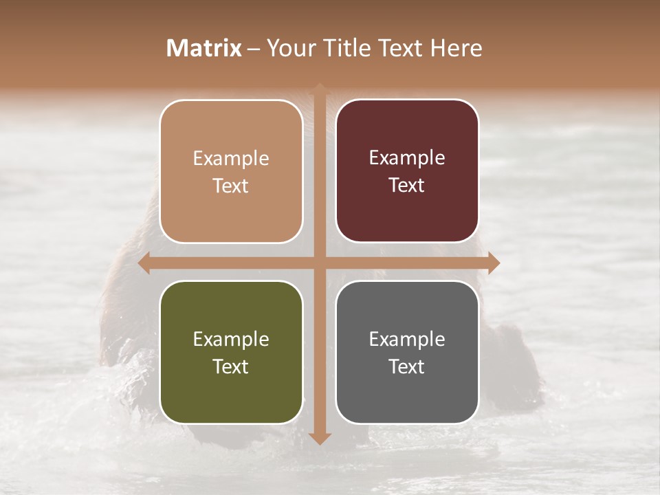 North America Salmon Usa PowerPoint Template