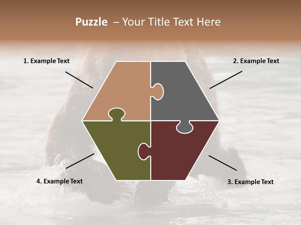 North America Salmon Usa PowerPoint Template