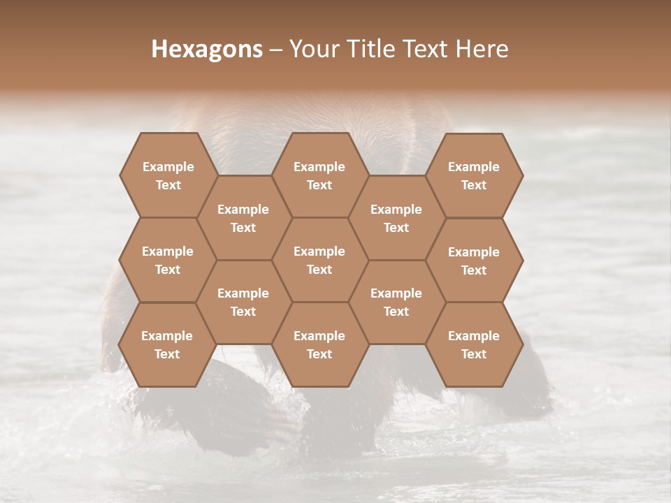 North America Salmon Usa PowerPoint Template