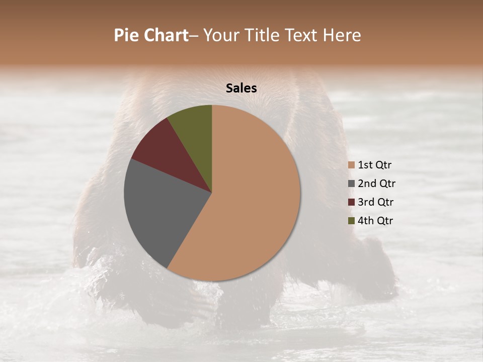 North America Salmon Usa PowerPoint Template