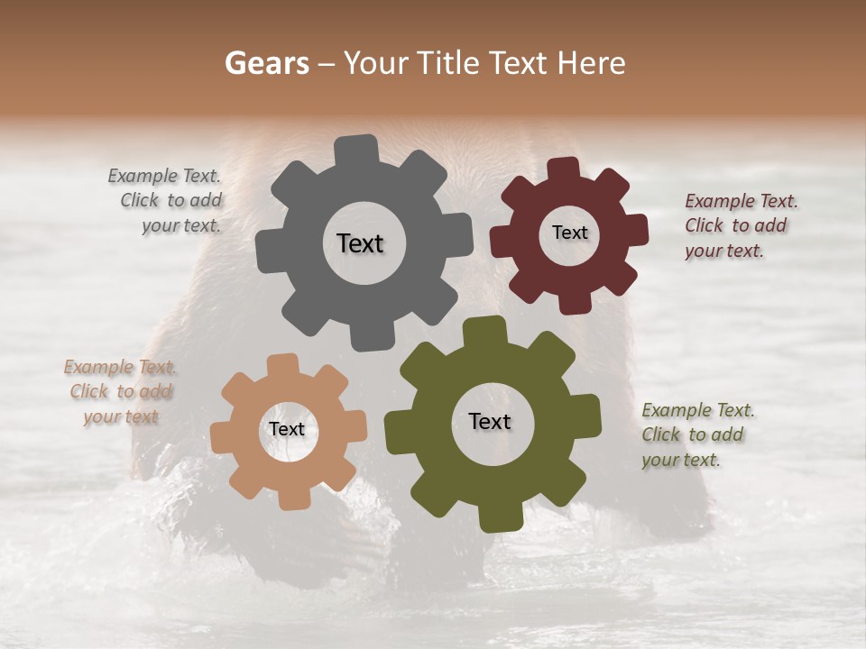 North America Salmon Usa PowerPoint Template