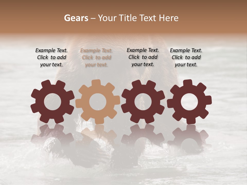 North America Salmon Usa PowerPoint Template