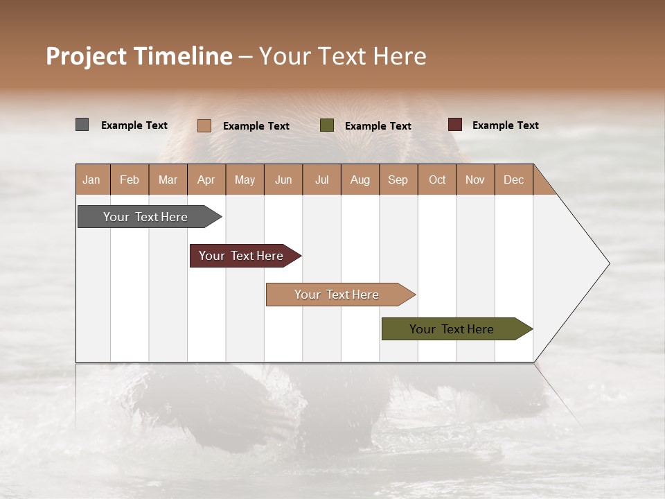 North America Salmon Usa PowerPoint Template
