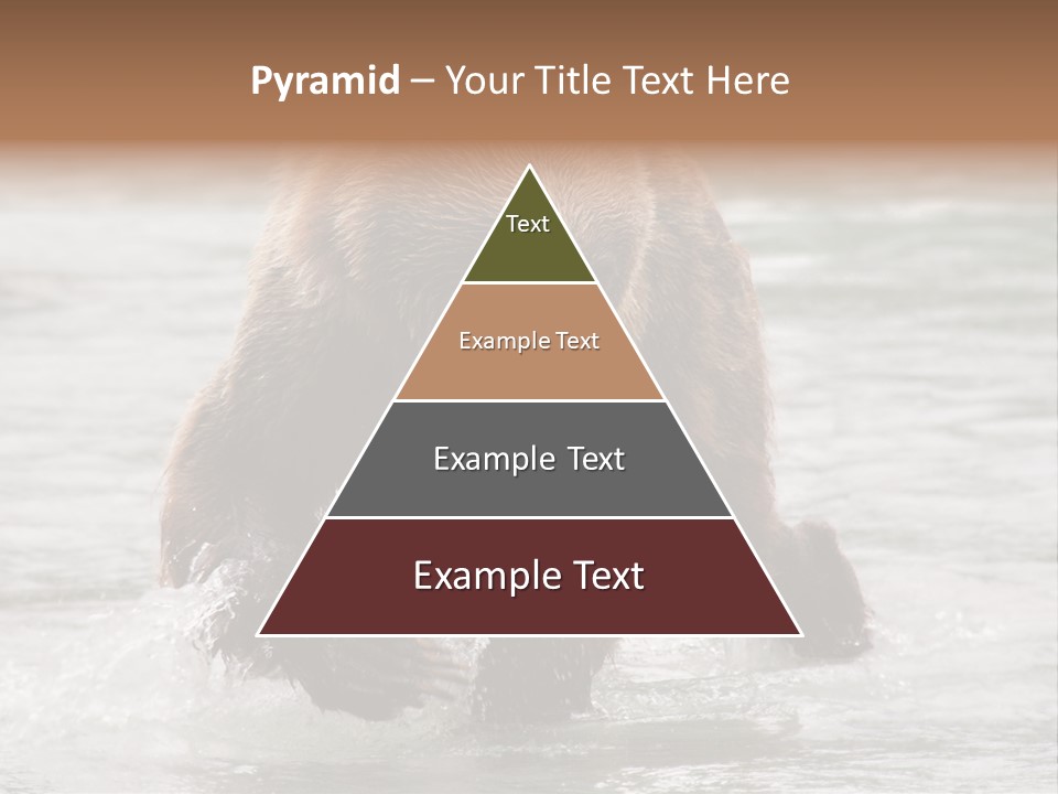 North America Salmon Usa PowerPoint Template