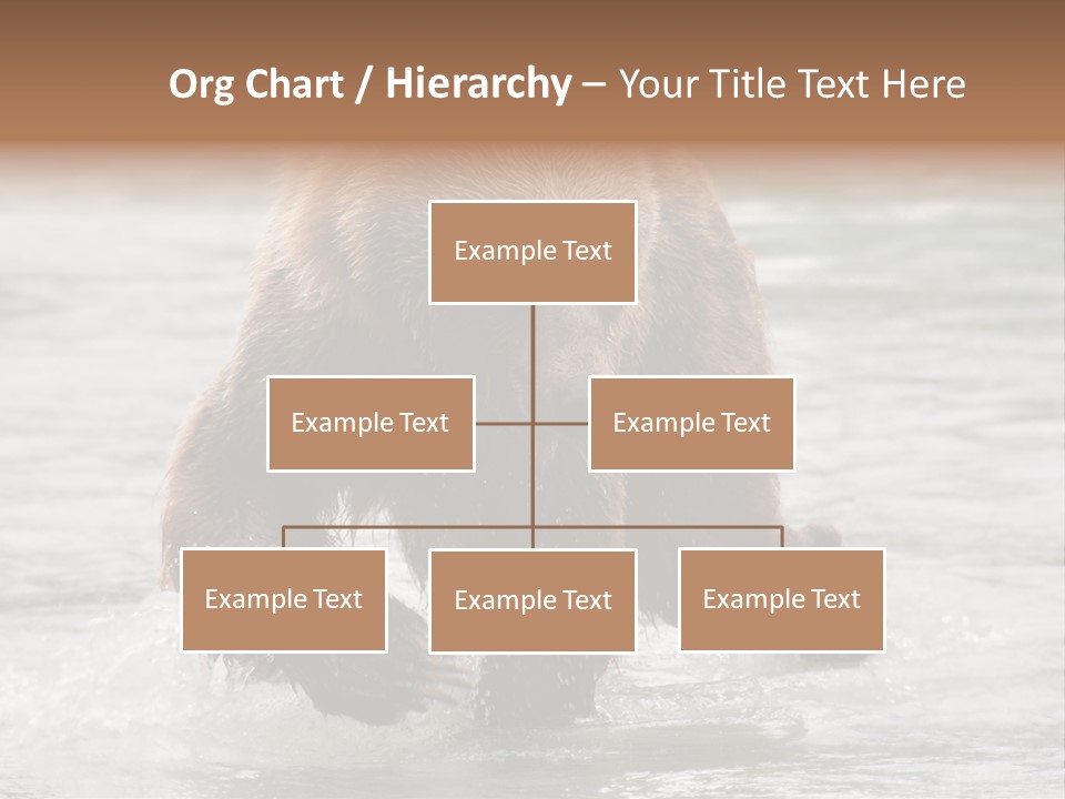 North America Salmon Usa PowerPoint Template