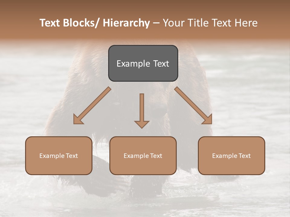 North America Salmon Usa PowerPoint Template