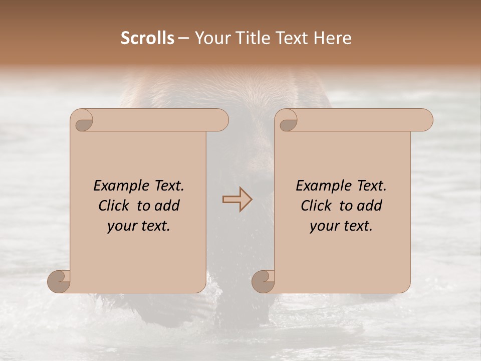 North America Salmon Usa PowerPoint Template
