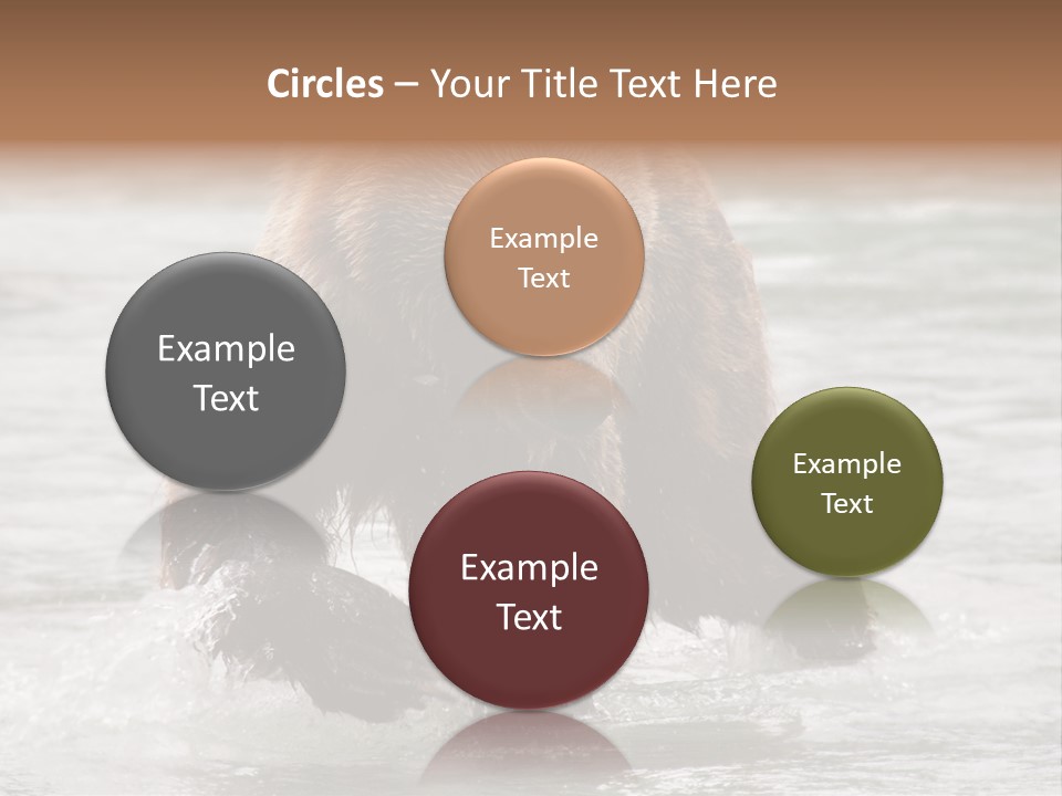 North America Salmon Usa PowerPoint Template