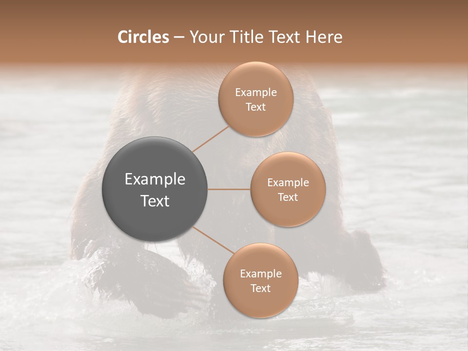 North America Salmon Usa PowerPoint Template