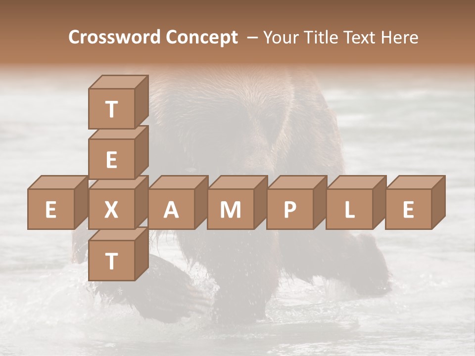 North America Salmon Usa PowerPoint Template