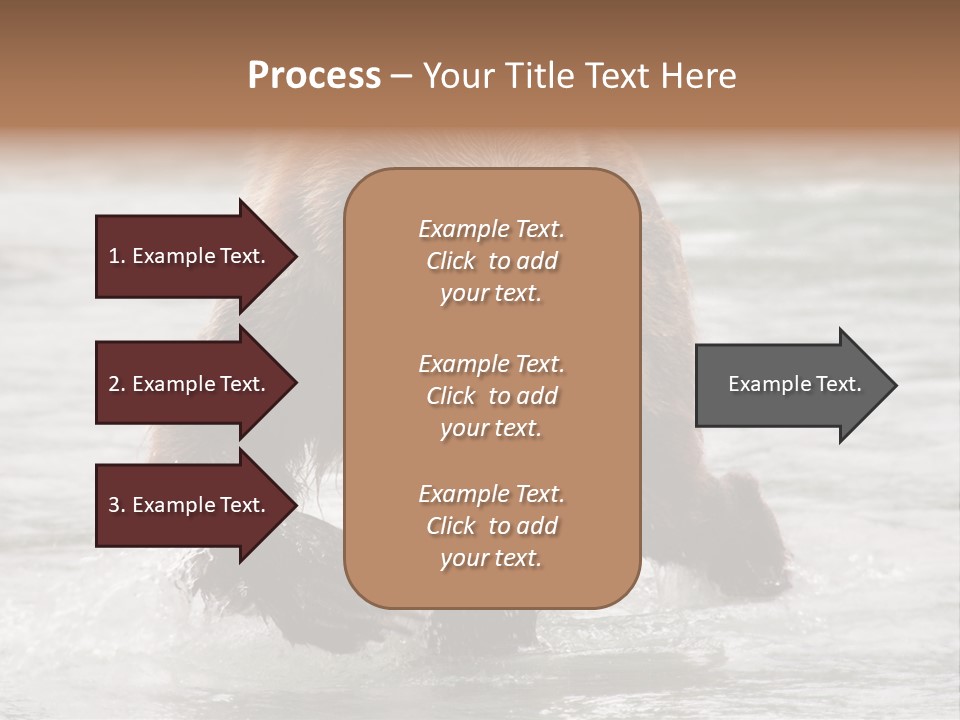 North America Salmon Usa PowerPoint Template