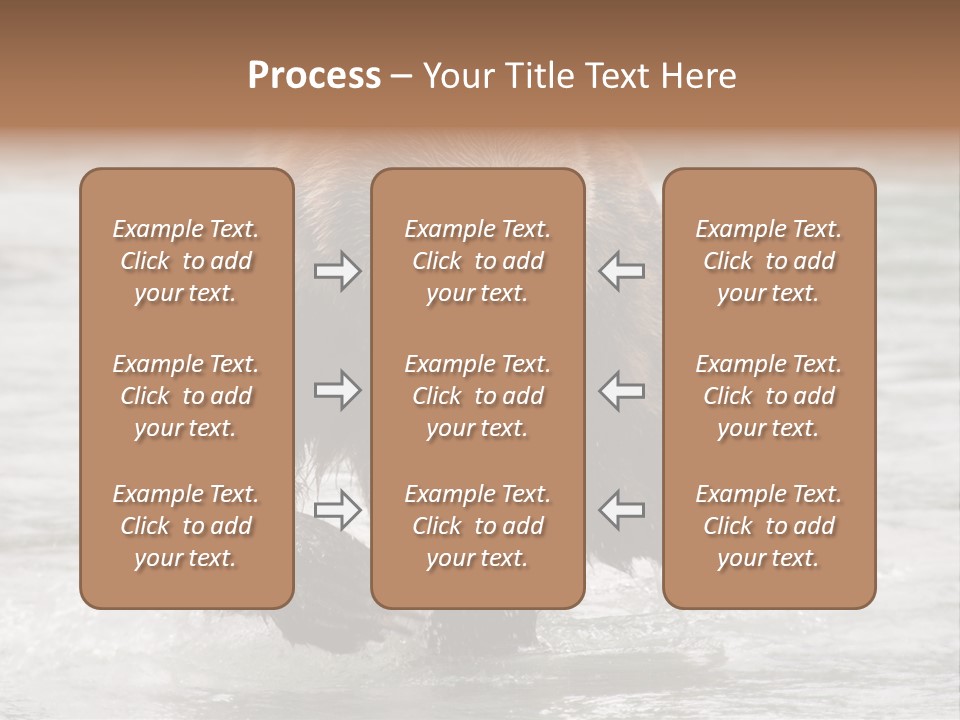 North America Salmon Usa PowerPoint Template