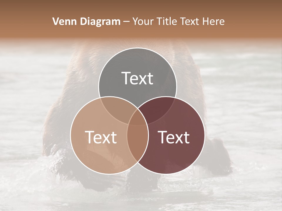 North America Salmon Usa PowerPoint Template