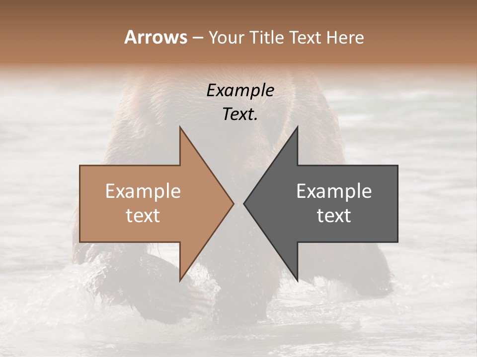 North America Salmon Usa PowerPoint Template