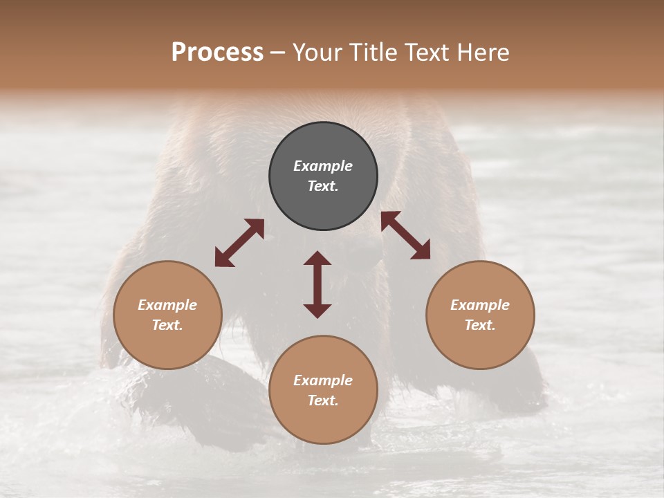 North America Salmon Usa PowerPoint Template