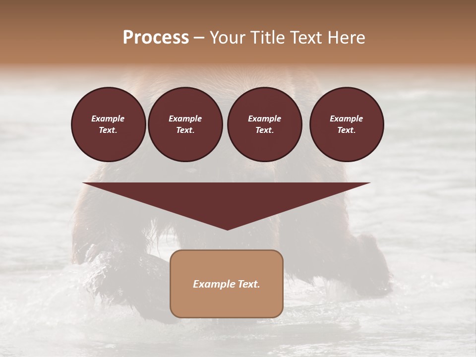 North America Salmon Usa PowerPoint Template