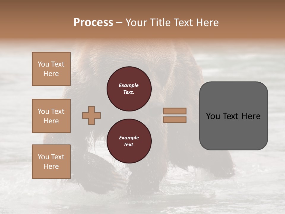 North America Salmon Usa PowerPoint Template