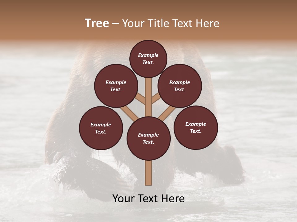 North America Salmon Usa PowerPoint Template