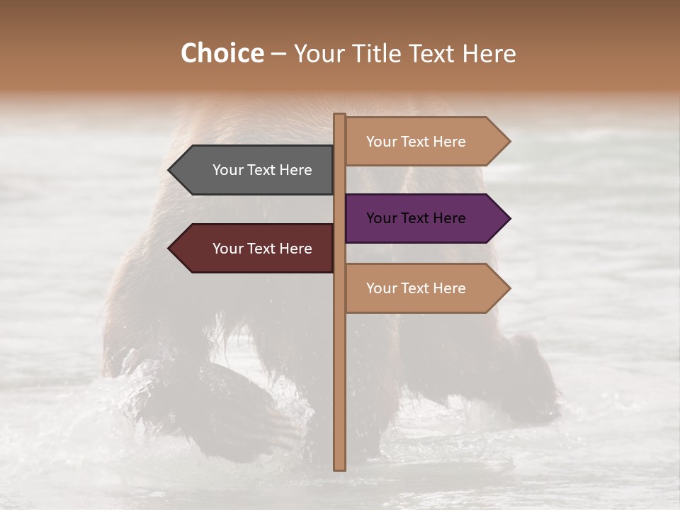 North America Salmon Usa PowerPoint Template