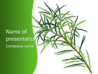 Leafs Essence Nature PowerPoint Template