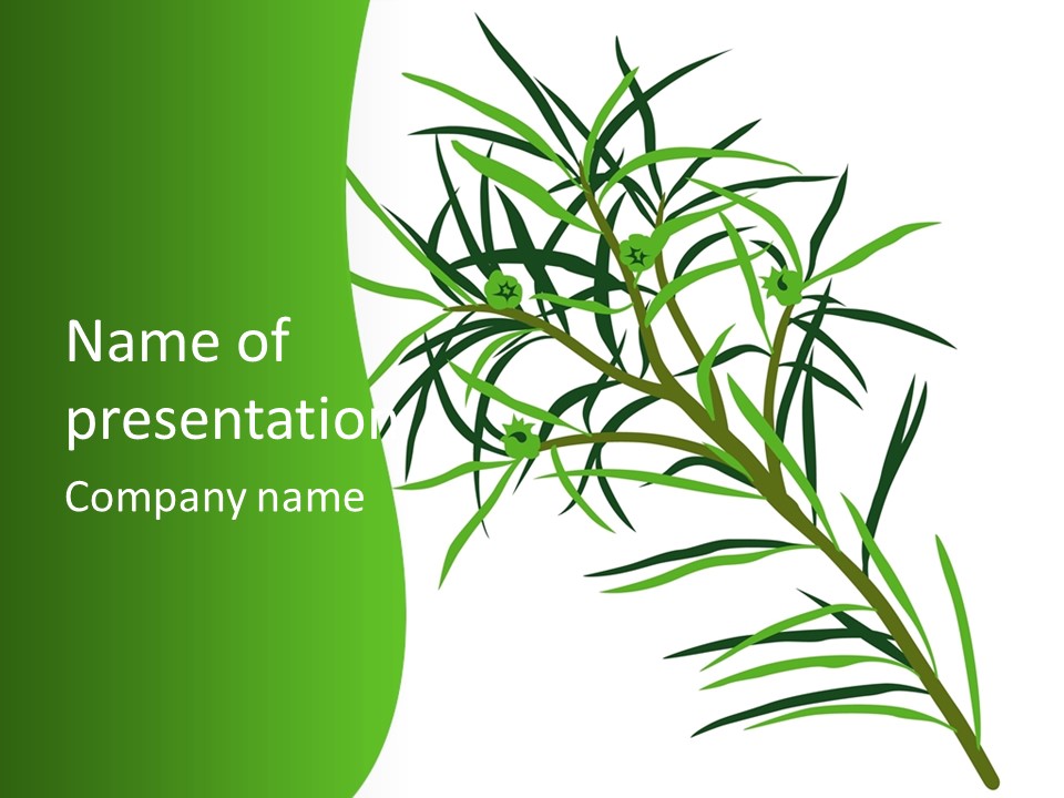 Leafs Essence Nature PowerPoint Template