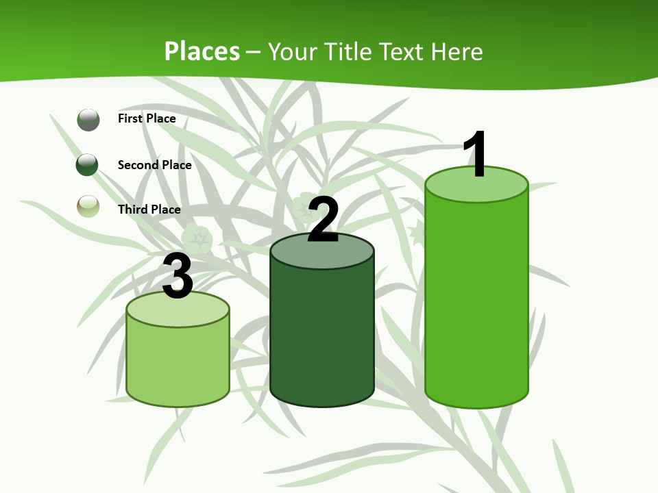 Leafs Essence Nature PowerPoint Template