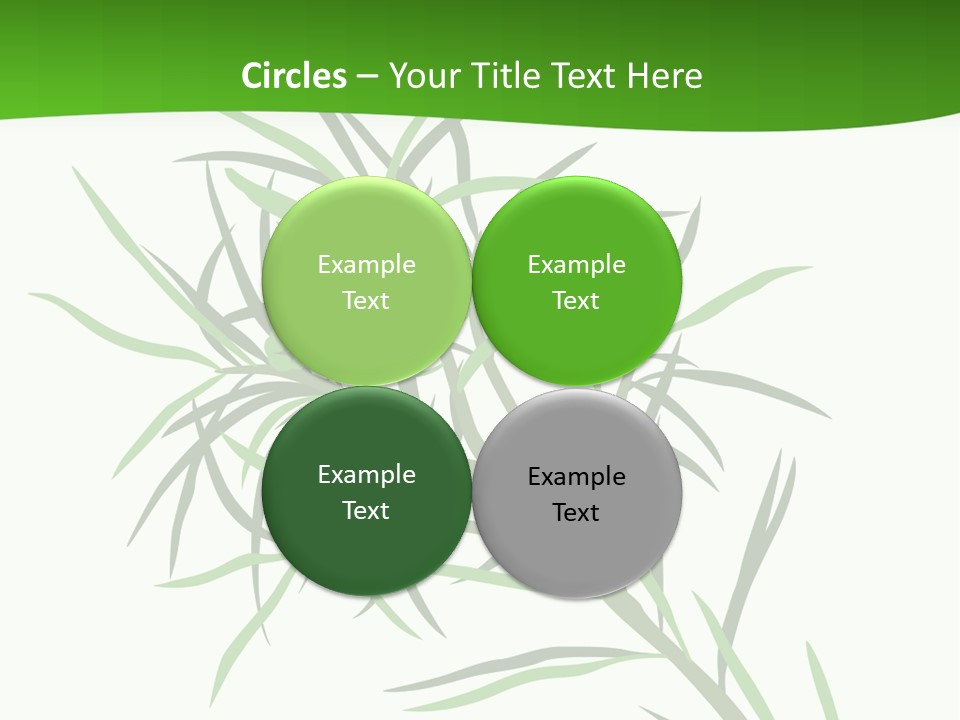 Leafs Essence Nature PowerPoint Template