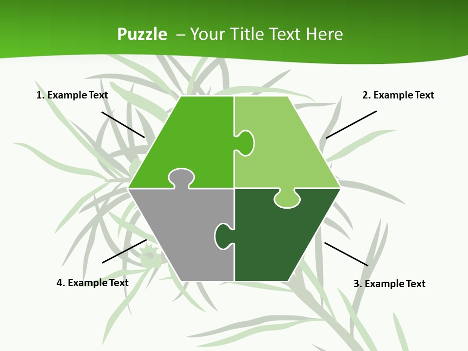 Leafs Essence Nature PowerPoint Template