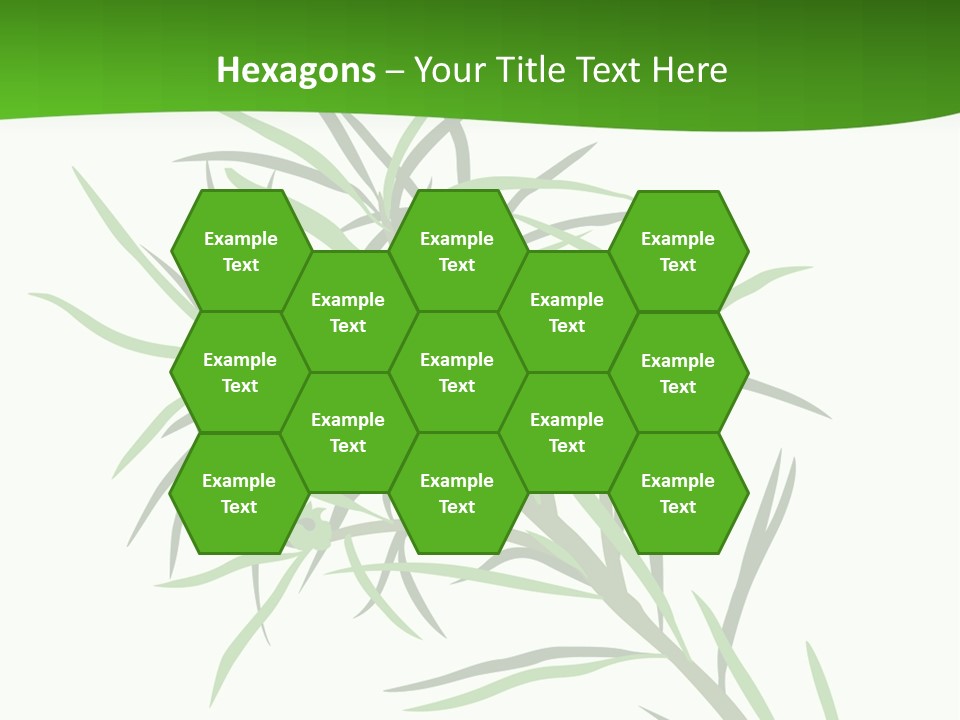 Leafs Essence Nature PowerPoint Template