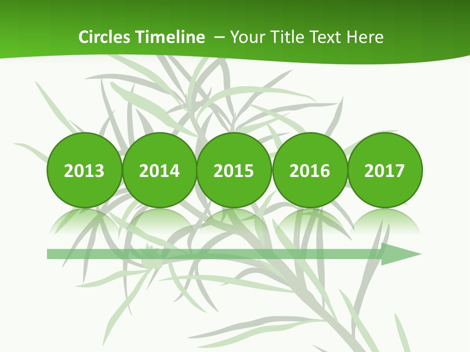 Leafs Essence Nature PowerPoint Template