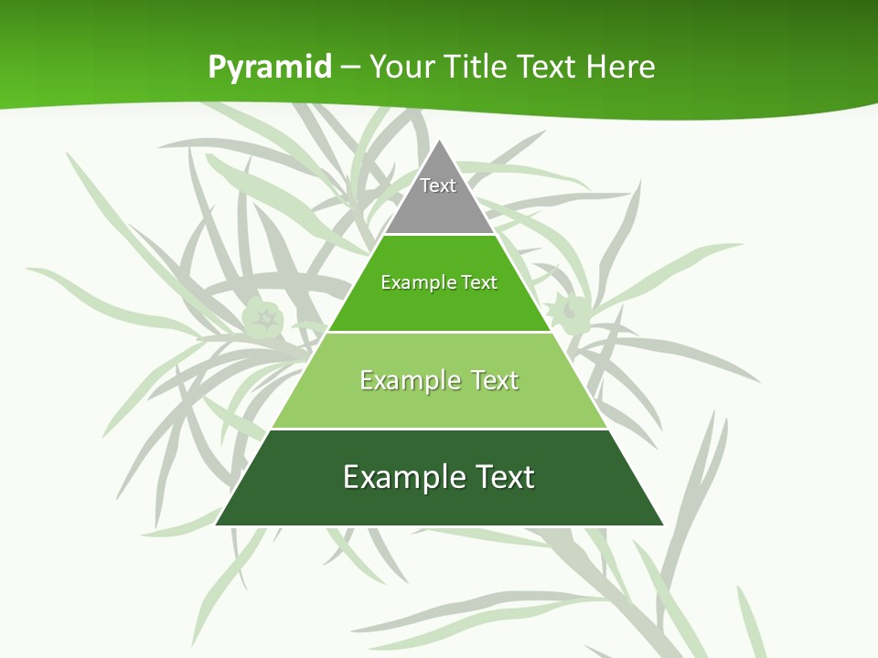 Leafs Essence Nature PowerPoint Template
