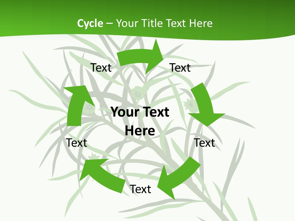 Leafs Essence Nature PowerPoint Template