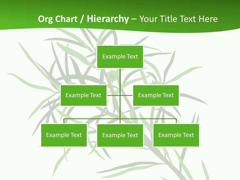 Leafs Essence Nature PowerPoint Template
