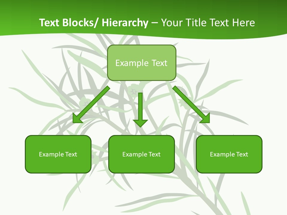 Leafs Essence Nature PowerPoint Template