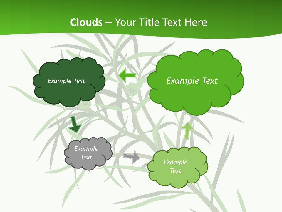 Leafs Essence Nature PowerPoint Template