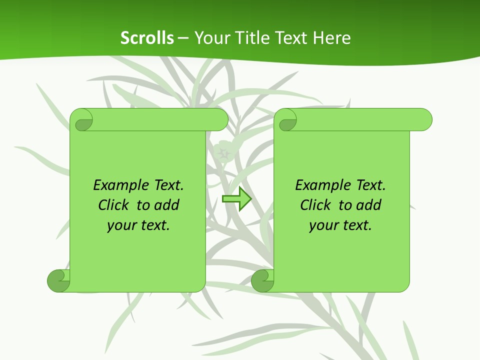 Leafs Essence Nature PowerPoint Template
