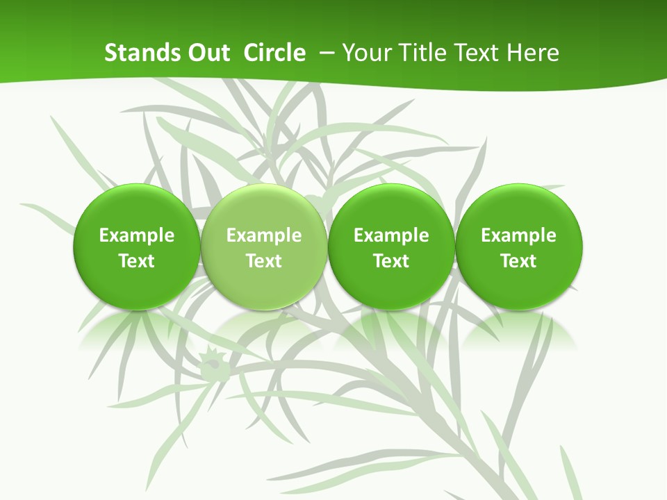 Leafs Essence Nature PowerPoint Template