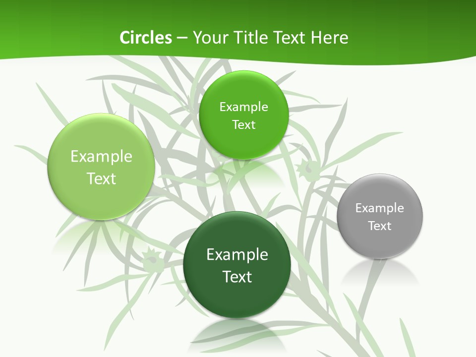 Leafs Essence Nature PowerPoint Template