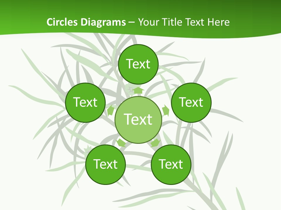 Leafs Essence Nature PowerPoint Template