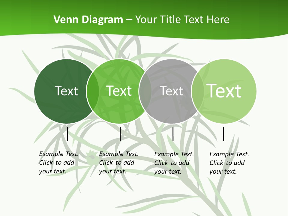 Leafs Essence Nature PowerPoint Template