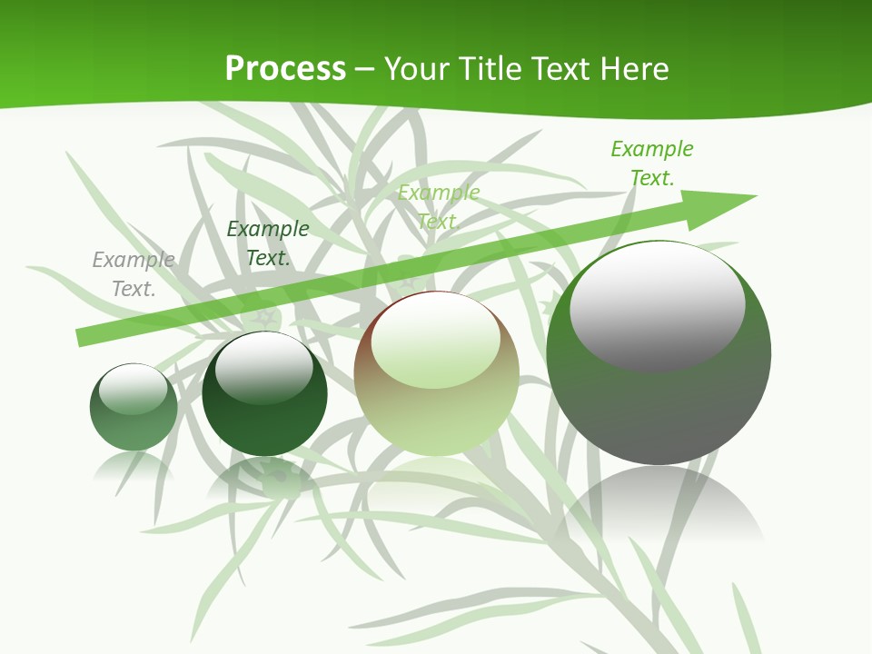 Leafs Essence Nature PowerPoint Template