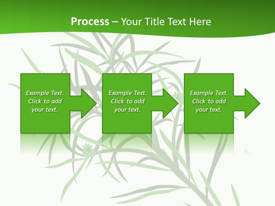 Leafs Essence Nature PowerPoint Template