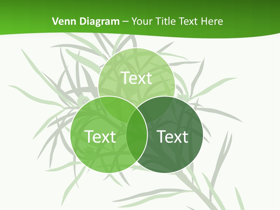 Leafs Essence Nature PowerPoint Template