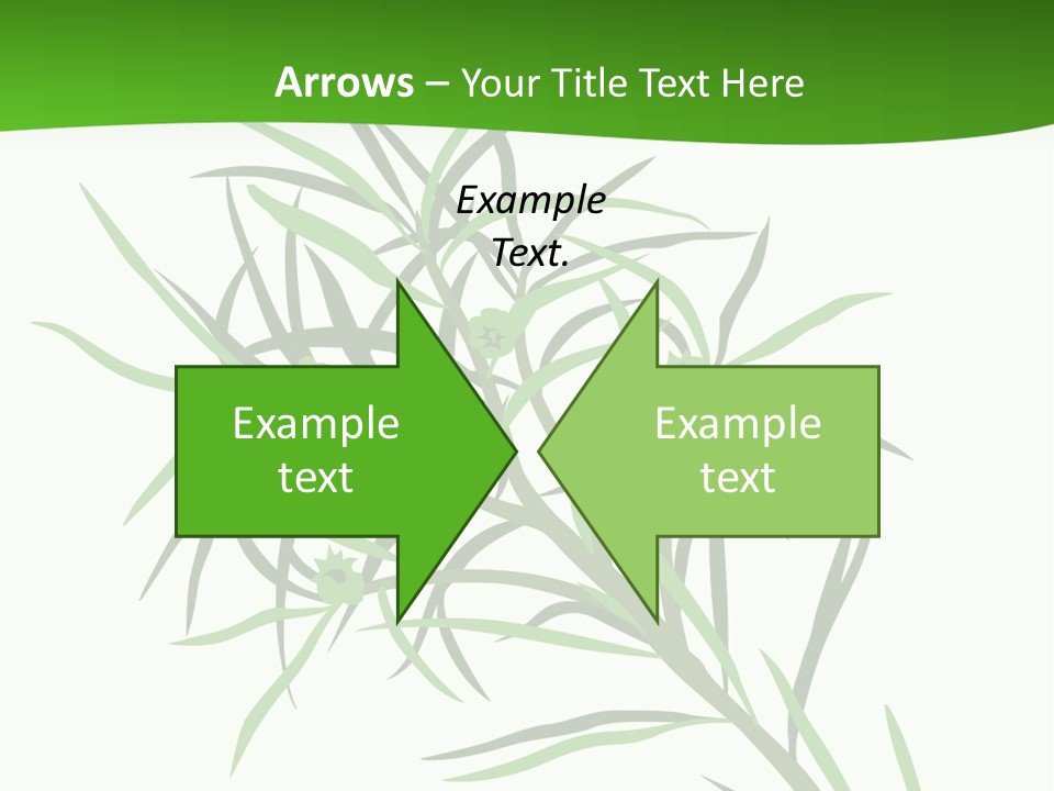 Leafs Essence Nature PowerPoint Template